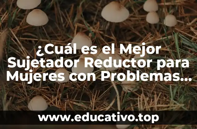 ¿Cuál es el Mejor Sujetador Reductor para Mujeres con Problemas de Salud?