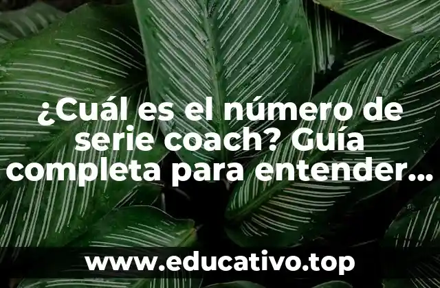 ¿Cuál es el número de serie coach? Guía completa para entender su importancia