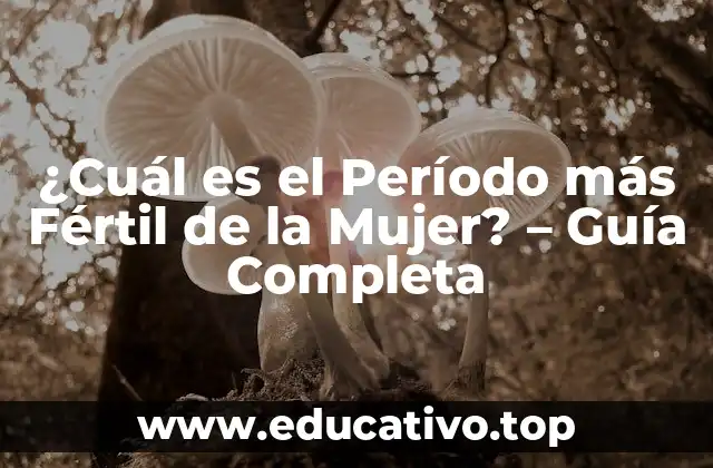 ¿Cuál es el Período más Fértil de la Mujer? – Guía Completa