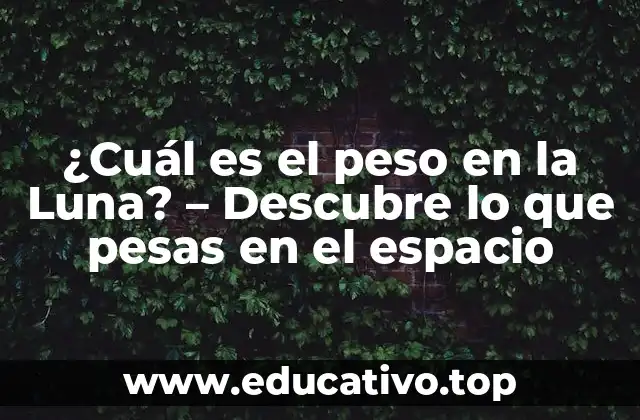 ¿Cuál es el peso en la Luna? – Descubre lo que pesas en el espacio