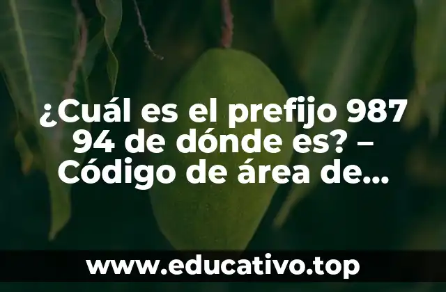 ¿Cuál es el prefijo 987 94 de dónde es? – Código de área de phoneNumber
