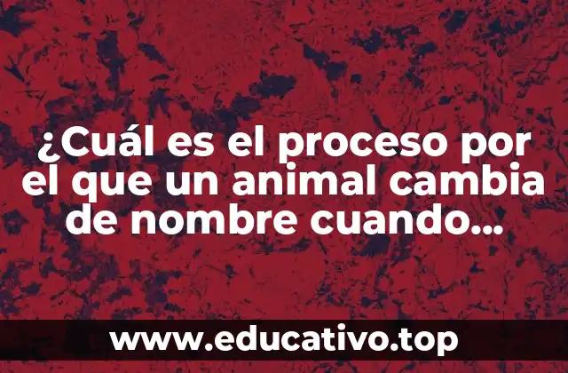 ¿Cuál es el proceso por el que un animal cambia de nombre cuando muere? ( exactamente)