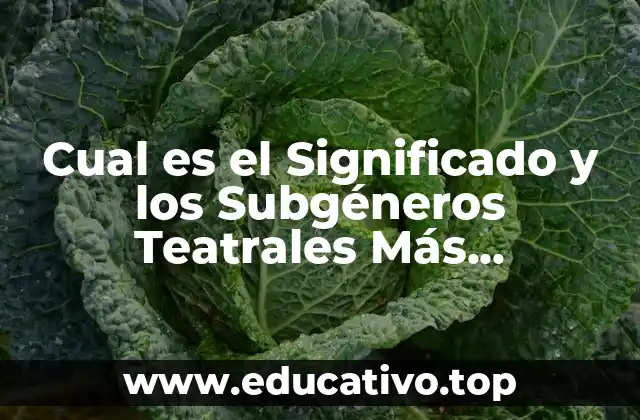 Cual es el Significado y los Subgéneros Teatrales Más Importantes