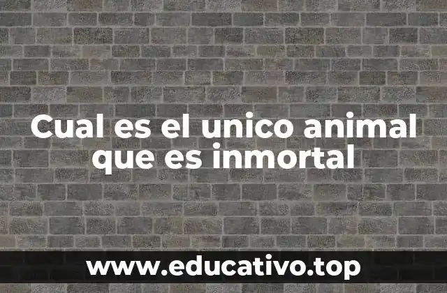 Cual es el unico animal que es inmortal