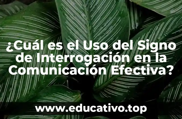 ¿Cuál es el Uso del Signo de Interrogación en la Comunicación Efectiva?