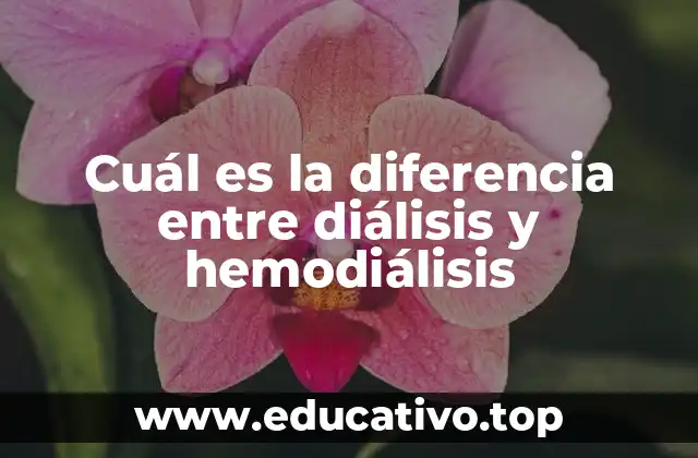 Cuál es la diferencia entre diálisis y hemodiálisis