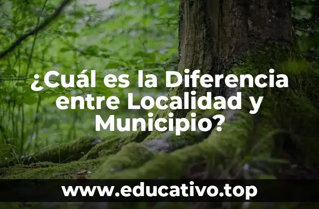 ¿Cuál es la Diferencia entre Localidad y Municipio?