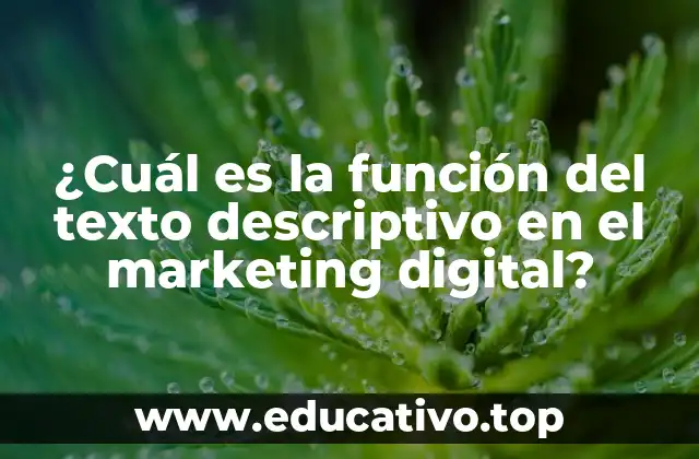 ¿Cuál es la función del texto descriptivo en el marketing digital?