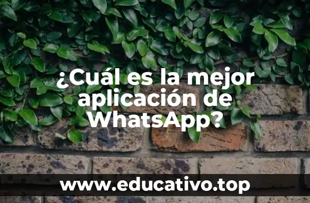 ¿Cuál es la mejor aplicación de WhatsApp?