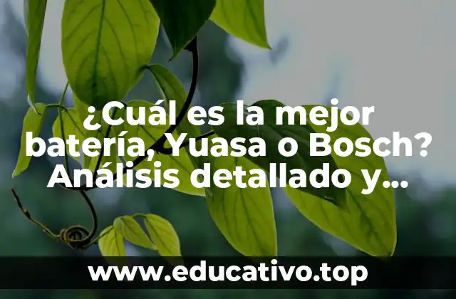 ¿Cuál es la mejor batería, Yuasa o Bosch? Análisis detallado y comparativo