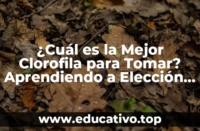 ¿Cuál es la Mejor Clorofila para Tomar? Aprendiendo a Elección Correcta