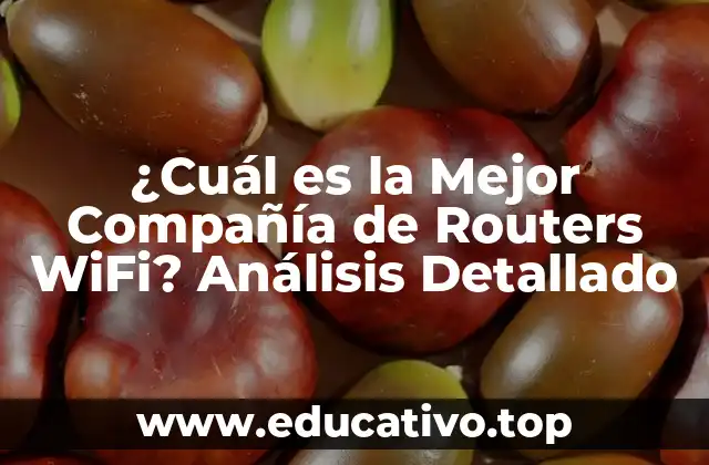 ¿Cuál es la Mejor Compañía de Routers WiFi? Análisis Detallado