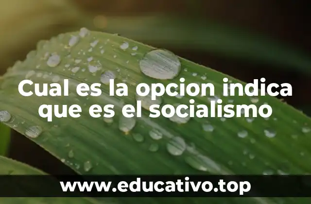 Las raíces filosóficas del pensamiento socialista