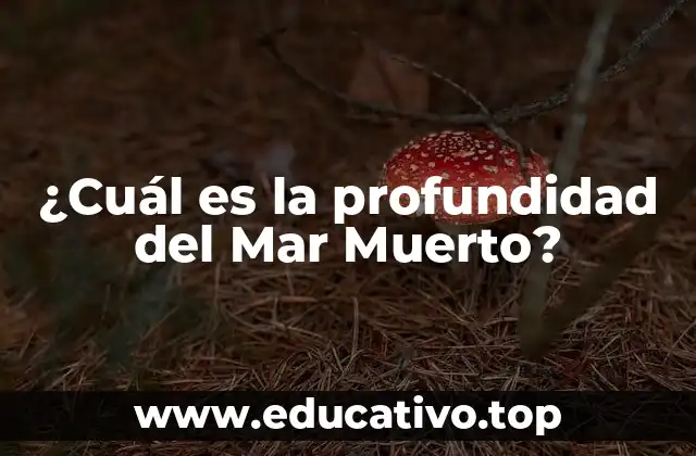 ¿Cuál es la profundidad del Mar Muerto?