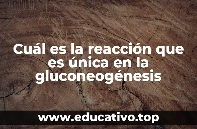 Cuál es la reacción que es única en la gluconeogénesis