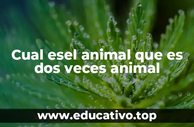 Cual esel animal que es dos veces animal