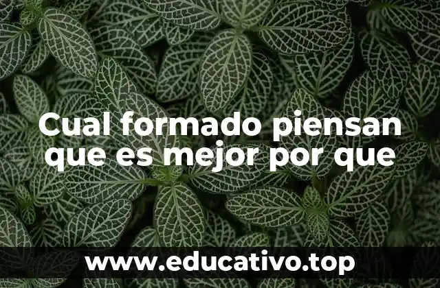 Cual formado piensan que es mejor por que