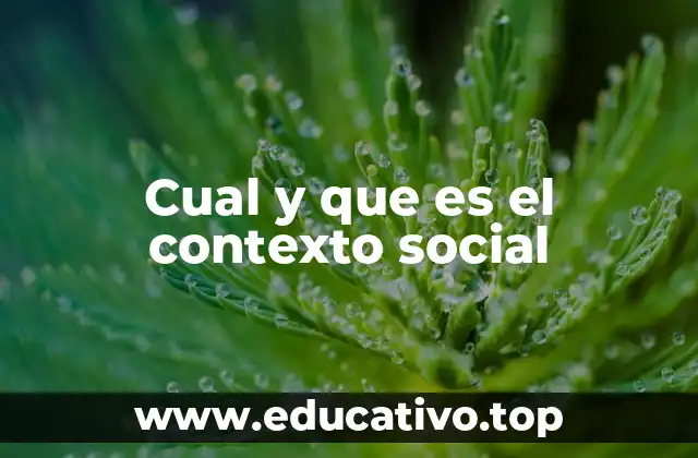 Cual y que es el contexto social