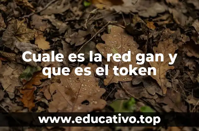 Cuale es la red gan y que es el token
