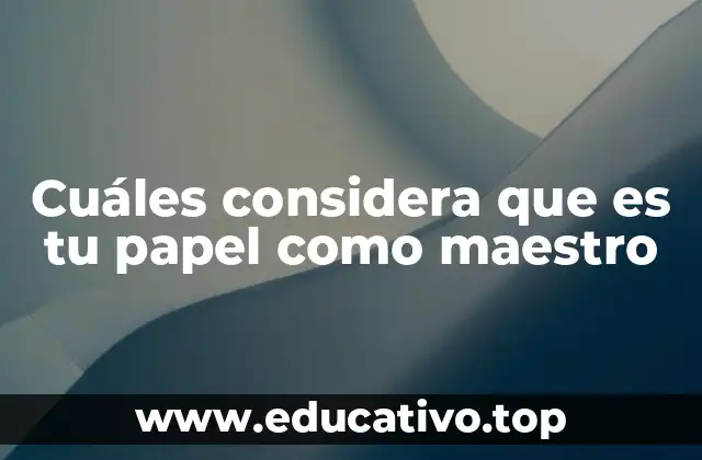 Cuáles considera que es tu papel como maestro