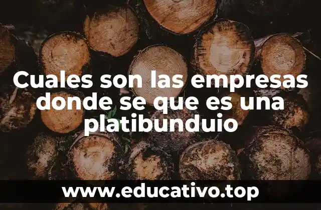 Cuales son las empresas donde se que es una platibunduio