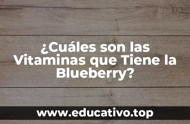 ¿Cuáles son las Vitaminas que Tiene la Blueberry?