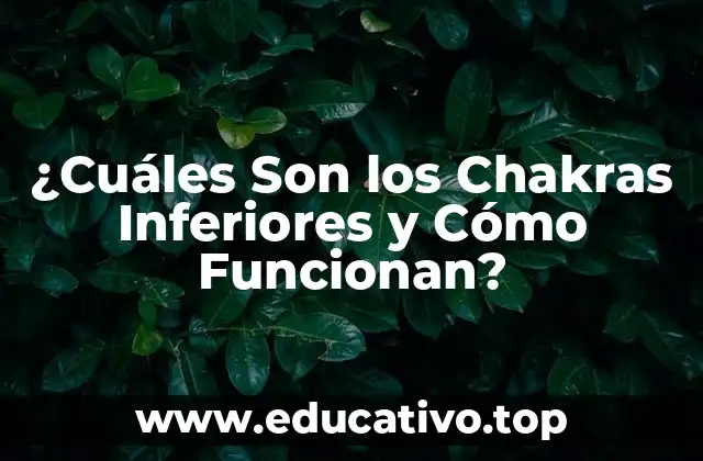 ¿Cuáles Son los Chakras Inferiores y Cómo Funcionan?