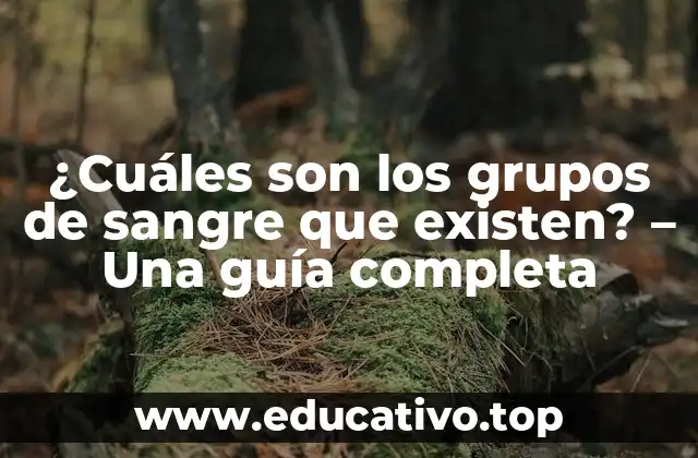 ¿Cuáles son los grupos de sangre que existen? – Una guía completa