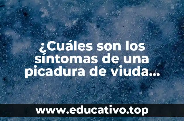 ¿Cuáles son los síntomas de una picadura de viuda negra?