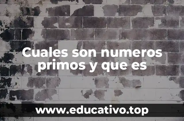 Cuales son numeros primos y que es