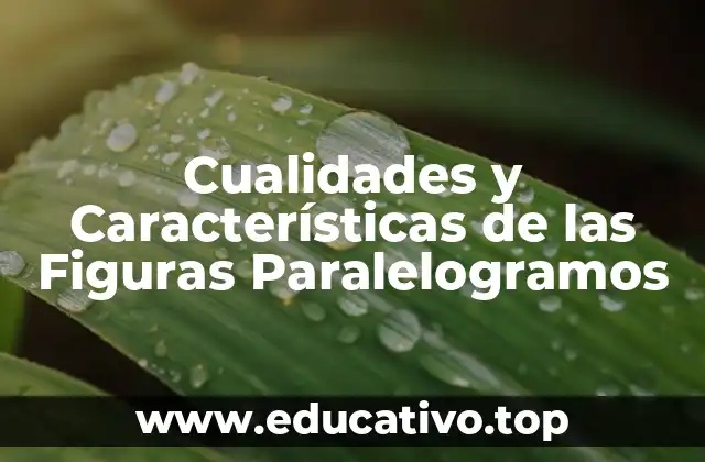 Cualidades y Características de las Figuras Paralelogramos