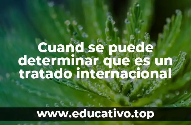 Cuand se puede determinar que es un tratado internacional