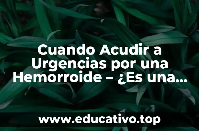 Cuando Acudir a Urgencias por una Hemorroide – ¿Es una Emergencia Médica?