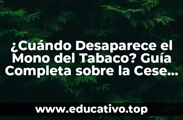 ¿Cuándo Desaparece el Mono del Tabaco? Guía Completa sobre la Cese de la Adicción al Tabaco
