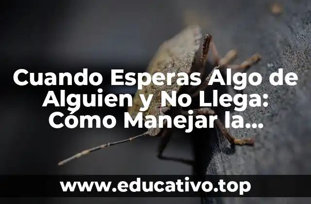 Cuando Esperas Algo de Alguien y No Llega: Cómo Manejar la Frustración y la Desilusión