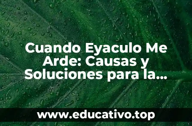 Cuando Eyaculo Me Arde: Causas y Soluciones para la Disfunción Eréctil