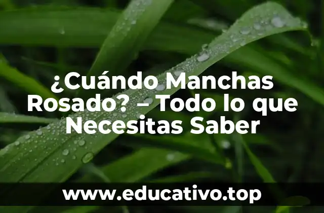 ¿Cuándo Manchas Rosado? – Todo lo que Necesitas Saber