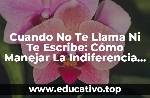 Cuando No Te Llama Ni Te Escribe: Cómo Manejar La Indiferencia En Una Relación