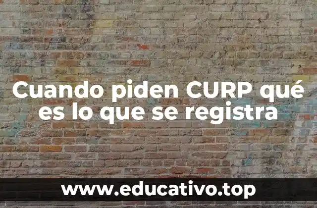 Cuando piden CURP qué es lo que se registra