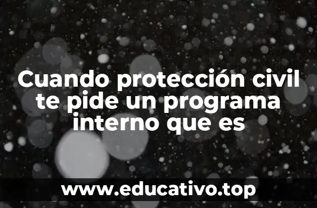 Cuando protección civil te pide un programa interno que es
