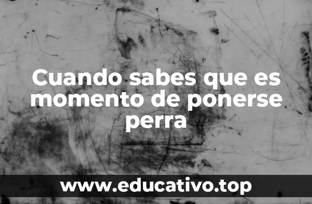 Cuando sabes que es momento de ponerse perra