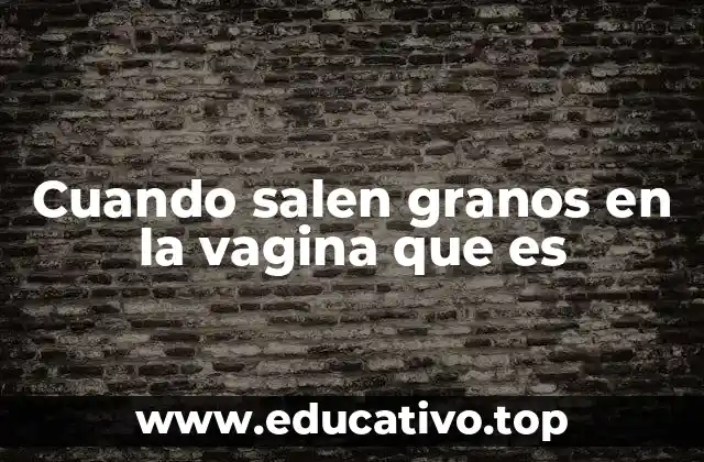 Cuando salen granos en la vagina que es