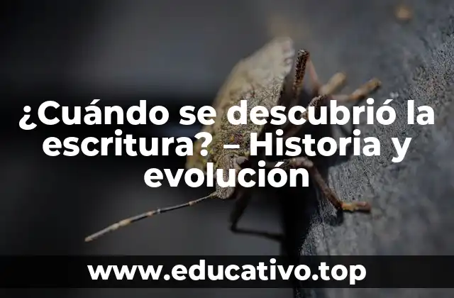 ¿Cuándo se descubrió la escritura? – Historia y evolución