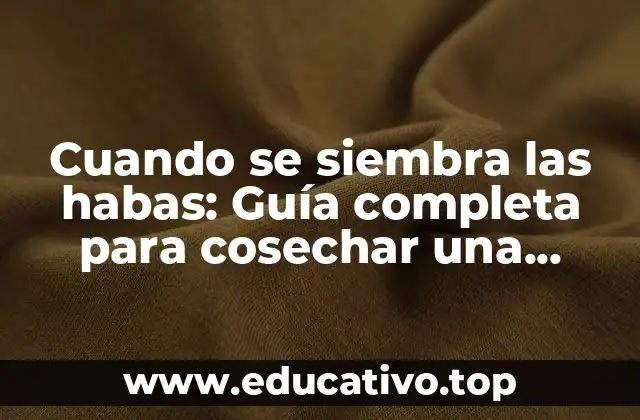 Cuando se siembra las habas: Guía completa para cosechar una buena producción