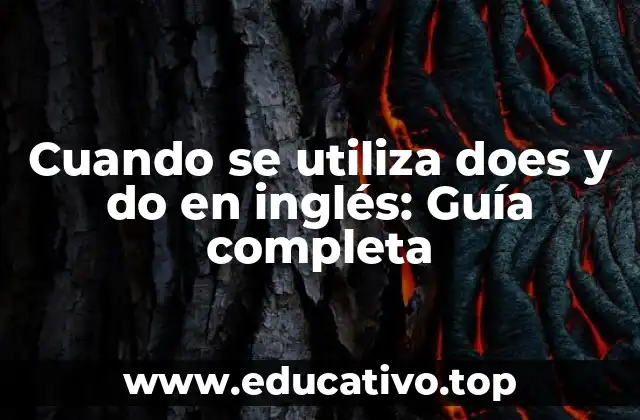 Cuando se utiliza does y do en inglés: Guía completa