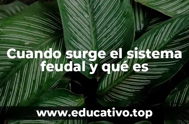 Cuando surge el sistema feudal y qué es