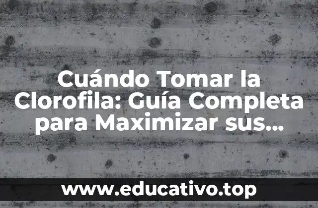 Cuándo Tomar la Clorofila: Guía Completa para Maximizar sus Beneficios