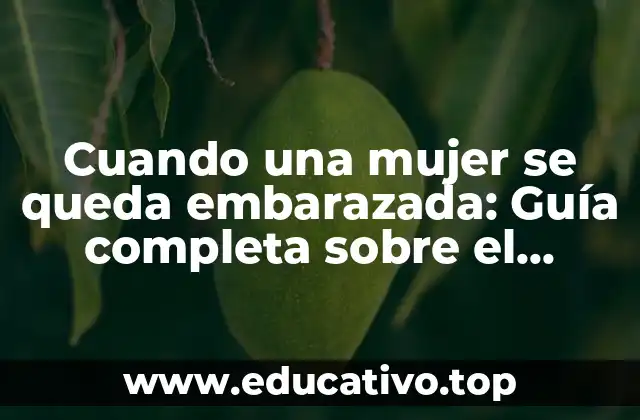 Cuando una mujer se queda embarazada: Guía completa sobre el embarazo