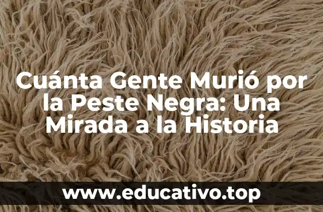 Cuánta Gente Murió por la Peste Negra: Una Mirada a la Historia
