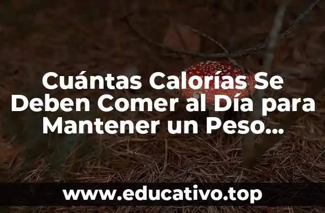Cuántas Calorías Se Deben Comer al Día para Mantener un Peso Saludable